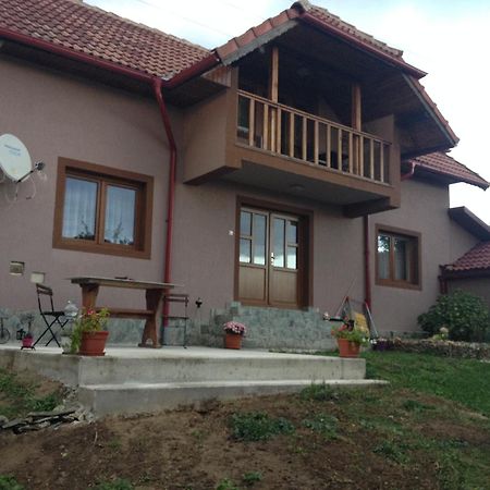 Casa Darius Villa Novaci Străini Exterior foto