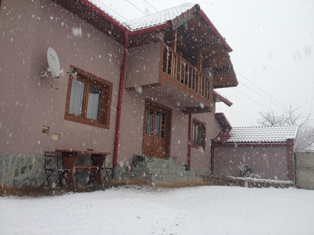 Casa Darius Villa Novaci Străini Exterior foto